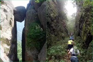 在线一线天白虎日本国产cc,揭秘日本国产CC的神秘魅力