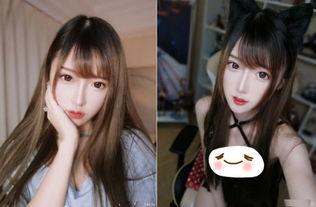 粉色斗鱼国产在线观看,在线观赏的美丽瞬间